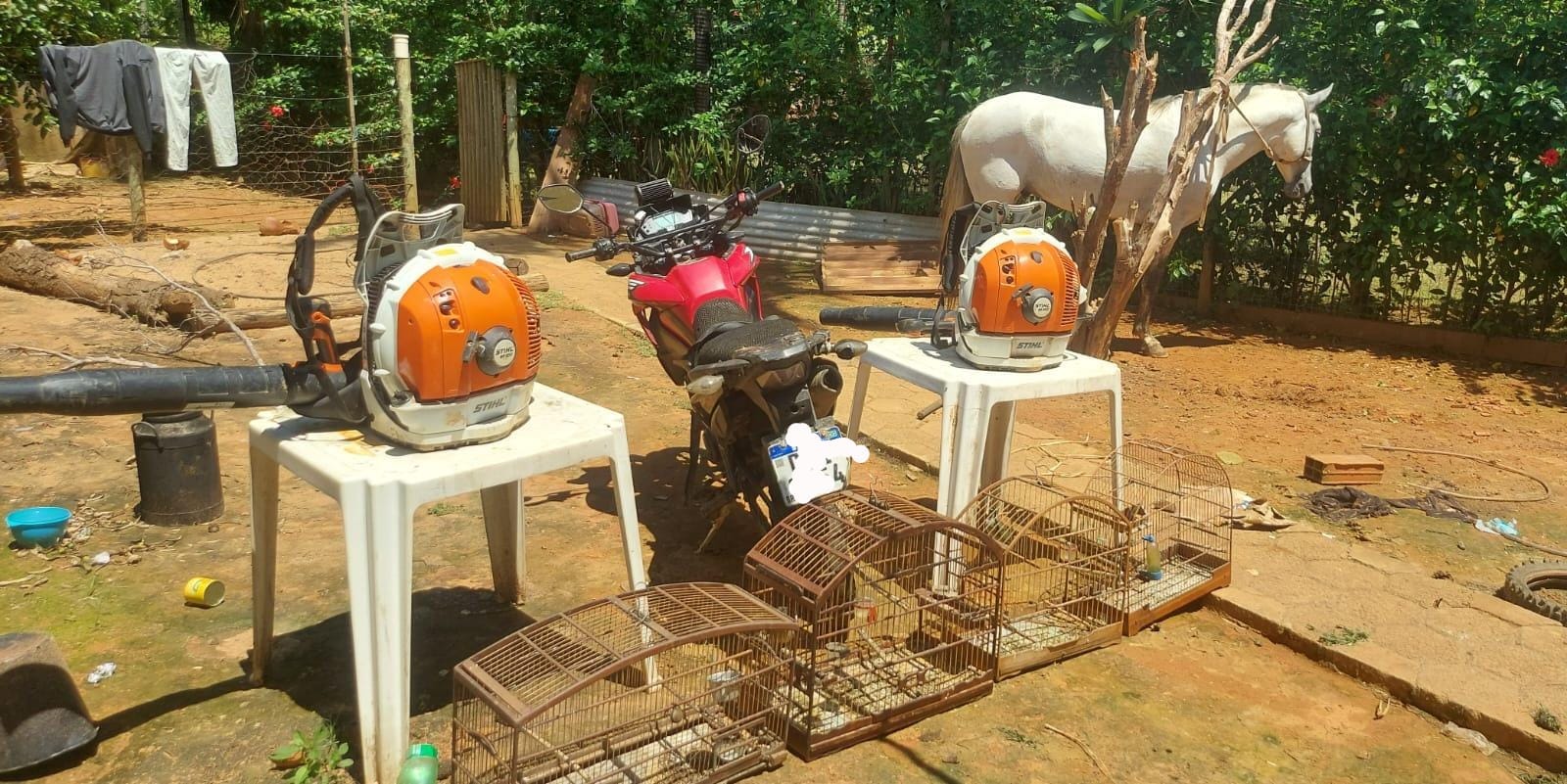 Militares de São José do Goiabal recuperam cavalo,   apreendem motocicleta e pássaros da fauna silvestre